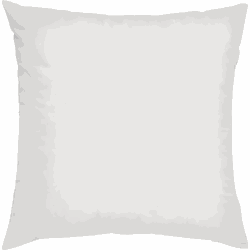 Binnenkussen | 50 x 50 cm | 600 gram | Veren / Dons