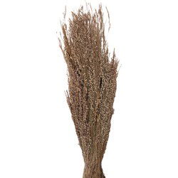 Clayre & Eef Droogbloemen Beige Droogbloemen