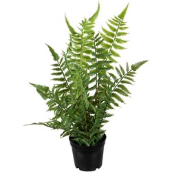 Louis Maes kunstplanten - Bosvaren - groen - in pot - 38 cm - Kunstplanten