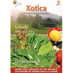 3 stuks - Xotica salade mix exotisch baby leaf - Buzzy