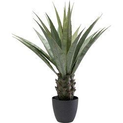 Kunstplant Agave 85cm