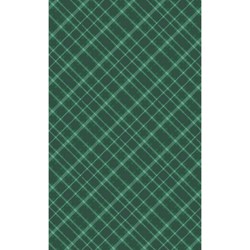 Op zoek naar servetten en tafeldecoratie? Bestel dan gemakkelijk Tafellaken Tartan Green van bij Warentuin!