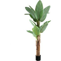 PTMD Kunstplant Bananen - 133x149x208 cm - Polyester - Groen