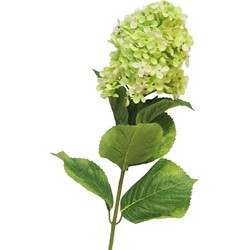 Bellatio Design Kunstbloem Pluimhortensia/hydrangea XL - 85 cm - lichtgroen - kunst zijdebloem - Kunstbloemen