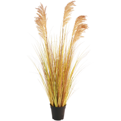 Greenmoods Kunstgrasplant Sorghum - Sorghum bicolor - Nep plant - 1 Stuk - 110cm