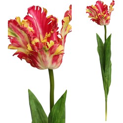 Tulip Flower - 7.5 x 10.0 x 64.5 cm