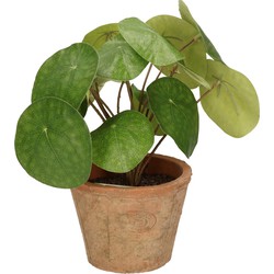 Emerald Kunstplant pilea/pannekoekplant - groen - in pot - 25 cm - Kunstplanten