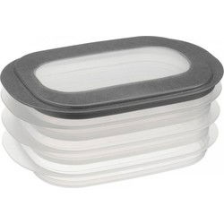 6x Vleeswaren bakjes transparant/grijs - Vershoudbakjes