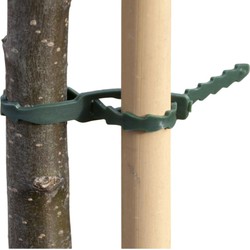 2 stuks - Universele bindband met rattenstaartsluting groen 23cm set a 30 stuks - Nature