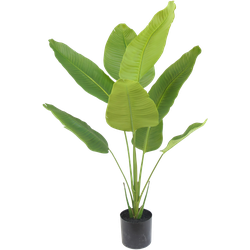 Hoyz Greenery - Kunstplant Strelitzia 120 cm