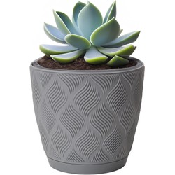 Form Plastic Plantenpot/bloempot New Age - kunststof - platina grijs - D19 x H17 cm - Plantenpotten