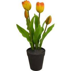 Tulp in Pot 30,5cm Rood/geel - Driesprong Collection