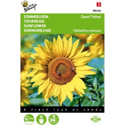 5 stuks - Helianthus annuus dwarf Yellow Tuinplus