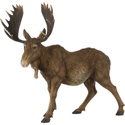 J-line - Eland Poly Bruin Large - 50x21.5x47cm