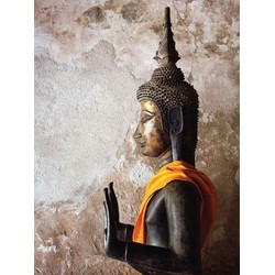 Boeddha zijkant 70x50cm Tuinschilderij