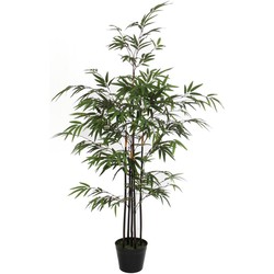 Bamboe kunstplant H120 x Ø75 cm - Groen Elite | Echt bamboe | NeverLeafs