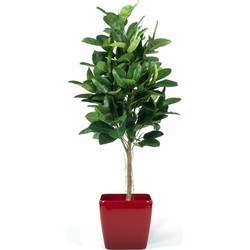 Hoyz Greenery - Kunstplant Rubber Plant 180 cm