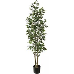 Ficus Benjamina 165 cm kunstplant - Buitengewoon de Boet