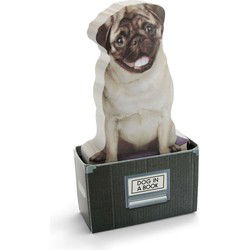 Mosterd Hond In Een Doos