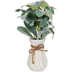 Beliani PEPEROMIA ARGYREIA - Kunstplant-Groen-Synthetisch materiaal
