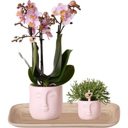 Kolibri Company | Plantenset van Orchidee 9cm en Rhipsalis 6cm in Zen face nude op bamboo plate