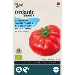 Organic Tomaat Marmande (BIO) - Buzzy