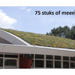 Minimaal 75 stuks! Sedummixmat Compleet (incl. drainage type 11c & daktuinsubstraat) per 1.2 m2 max. 25 graden