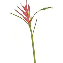 Greenmoods Kunstbloem Heliconia - Nep plant - 1 Stuk - 90cm - Fuchsia-