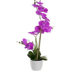 Items Kunstplant Orchidee - roze bloemen - witte pot - H60 cm - Kunstplanten