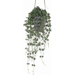 Ceropegia chinees lantaarn plantje 70 cm kunstbloem zijde nepbloem
