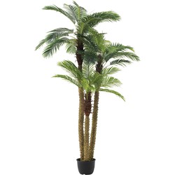 J-line - Palmboom 3delig Real Touch In Pot Plastiek Groen - 175x180x300cm