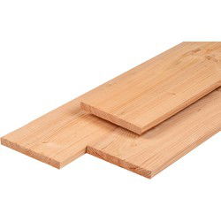 Plank douglas 2,8x24,5x400 cm Tuindeco
