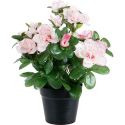 Louis Maes Kunstbloemen Azalea - in pot - wit/roze - H25 cm - Kunstplanten