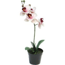 RT Phalaenopsis Bora x1 in pot 35 cm pink kunstbloemen