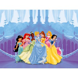 Disney fotobehang prinsessen blauw, roze en paars - 360 x 254 cm - 600358