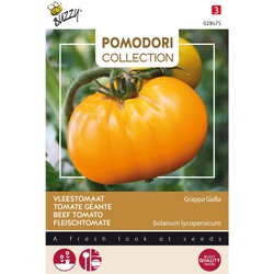 3 stuks - Pomodori grappa gialla