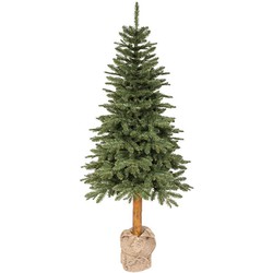 Tiaga fir d122h270 cm groen