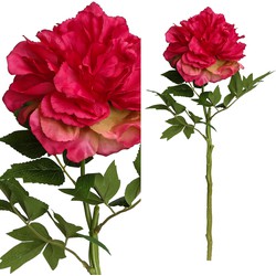 Peony Flower - 26.0 x 16.0 x 63.0 cm