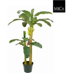 Mica Decorations bananenboom h180d115 groen in pot