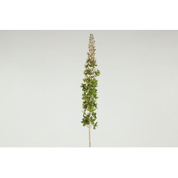 Eremurus kunststof 8x8x109 cm groen