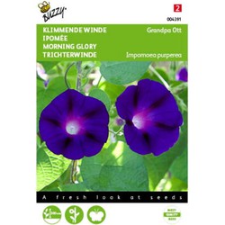 5 stuks - Ipomoea Grandpa Ott Tuinplus