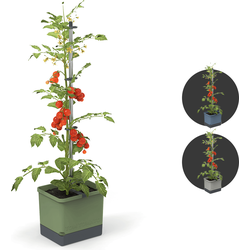 Gusta Garden - Tom Tomato - Tomaten Planten - Tomaten Plantenbak met Watertank - Kweekbak - Kweektafel - Donkergroen