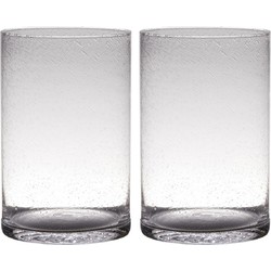 Set van 2x stuks transparante home-basics cylinder vorm vaas/vazen van bubbel glas 30 x 19 cm - Vazen