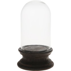 Dijk Natural Collections stolp - glas - houten bruin plateau - D15 x H26,5 cm - Decoratieve stolpen