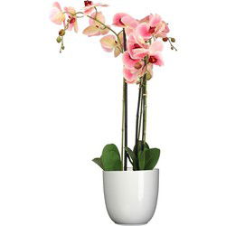 Orchidee kunstplant roze - 75 cm - inclusief bloempot wit glans - Kunstplanten