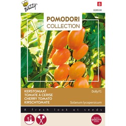 Pomodori Dolly F1