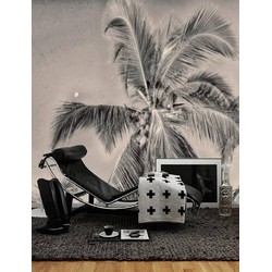 Zelfklevend behang XL Palm grijs 300x250 cm