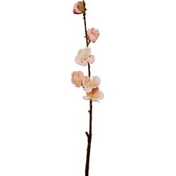 Tige de Fleurs de Cerisier - Rose pâle / 32 cm