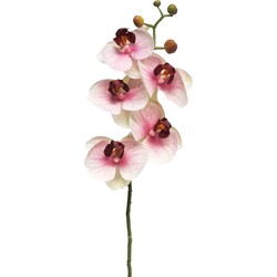 Bellatio Design Kunstbloem Orchidee - roze - 58cm- losse steel - zijde - Kunstbloemen