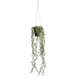 Mica Decorations Senecio Kunst Hangplant in Pot - H68 x Ø9 cm - Groen